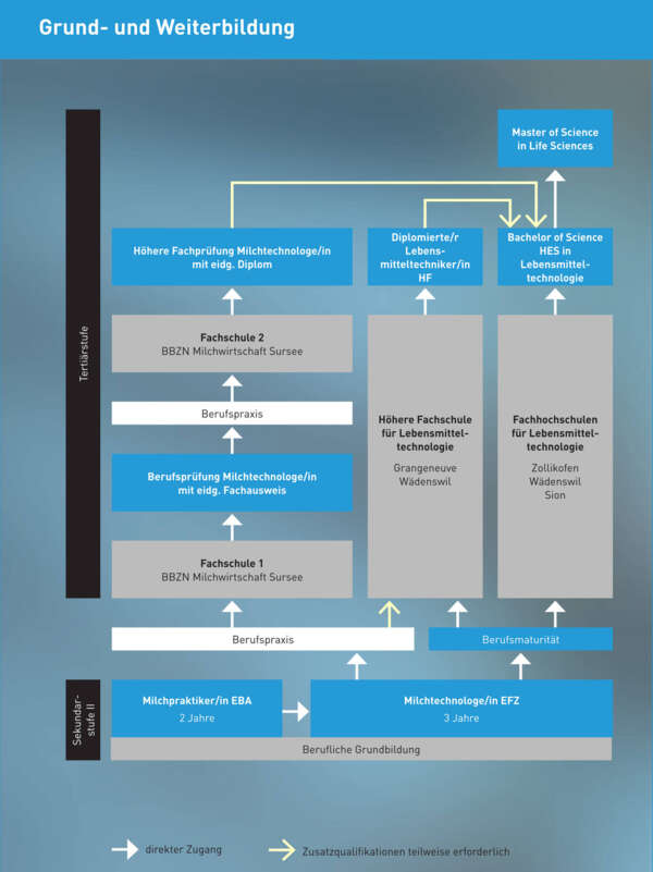 Ausbildungsschema Grund- und Weiterbildung Ausbildungsschema Grund- und Weiterbildung